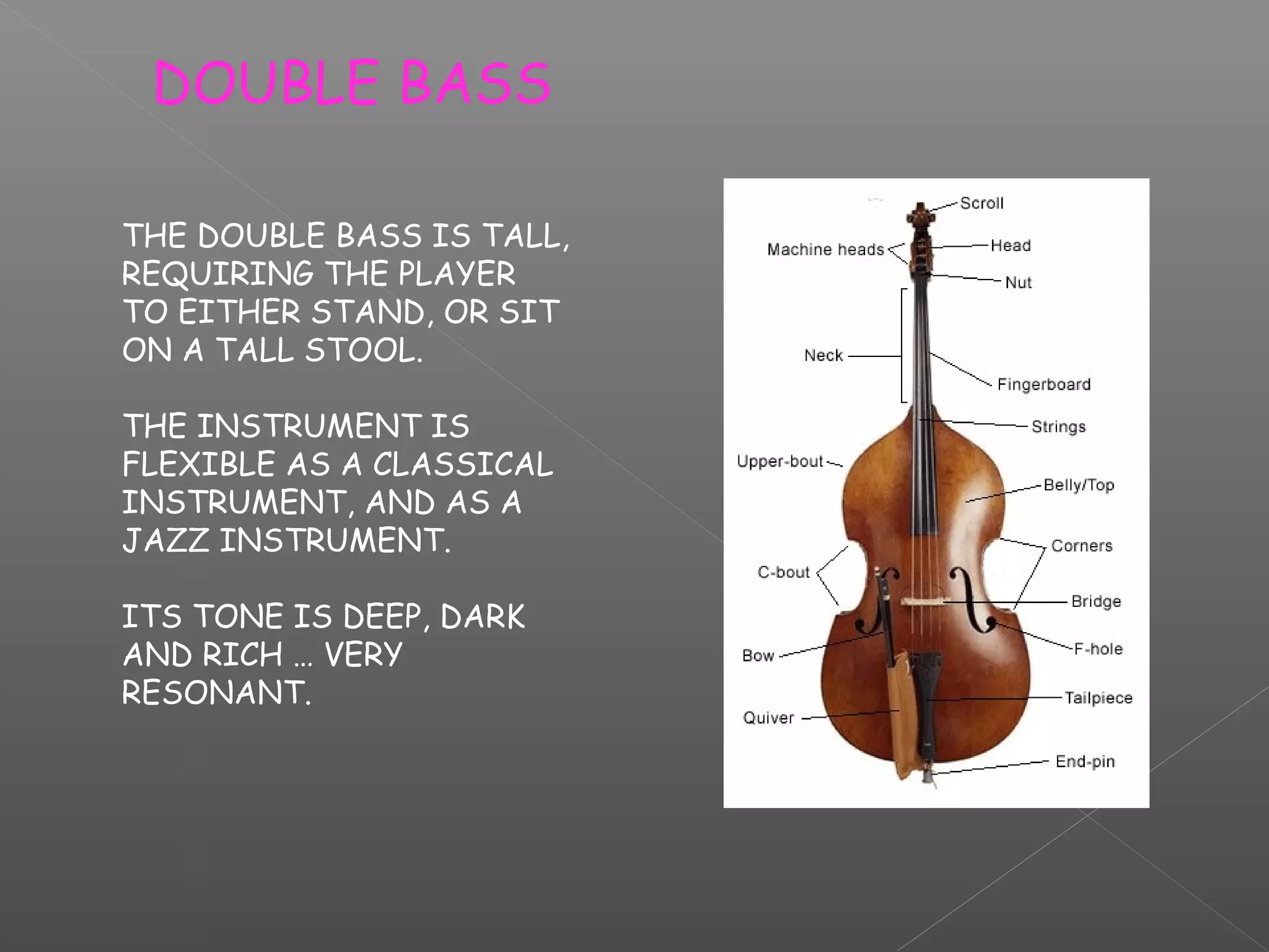DOUBLE BASS
THE DOUBLE BASS IS TALL,
REQUIRING THE PLAYER
TO EITHER STAND, OR SIT
ON A TALL STOOL.
THE INSTRUMENT IS
FLEXIBLE AS A CLASSICAL
INSTRUMENT, AND AS A
JAZZ INSTRUMENT.
ITS TONE IS DEEP, DARK
AND RICH … VERY
RESONANT.

 