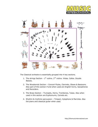 String Section Instruments Violin Which music instrument should you take up? | PDF