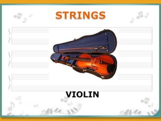 VIOLIN 
