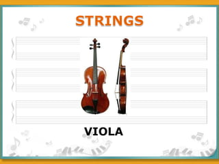 VIOLA 