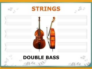 DOUBLE BASS 