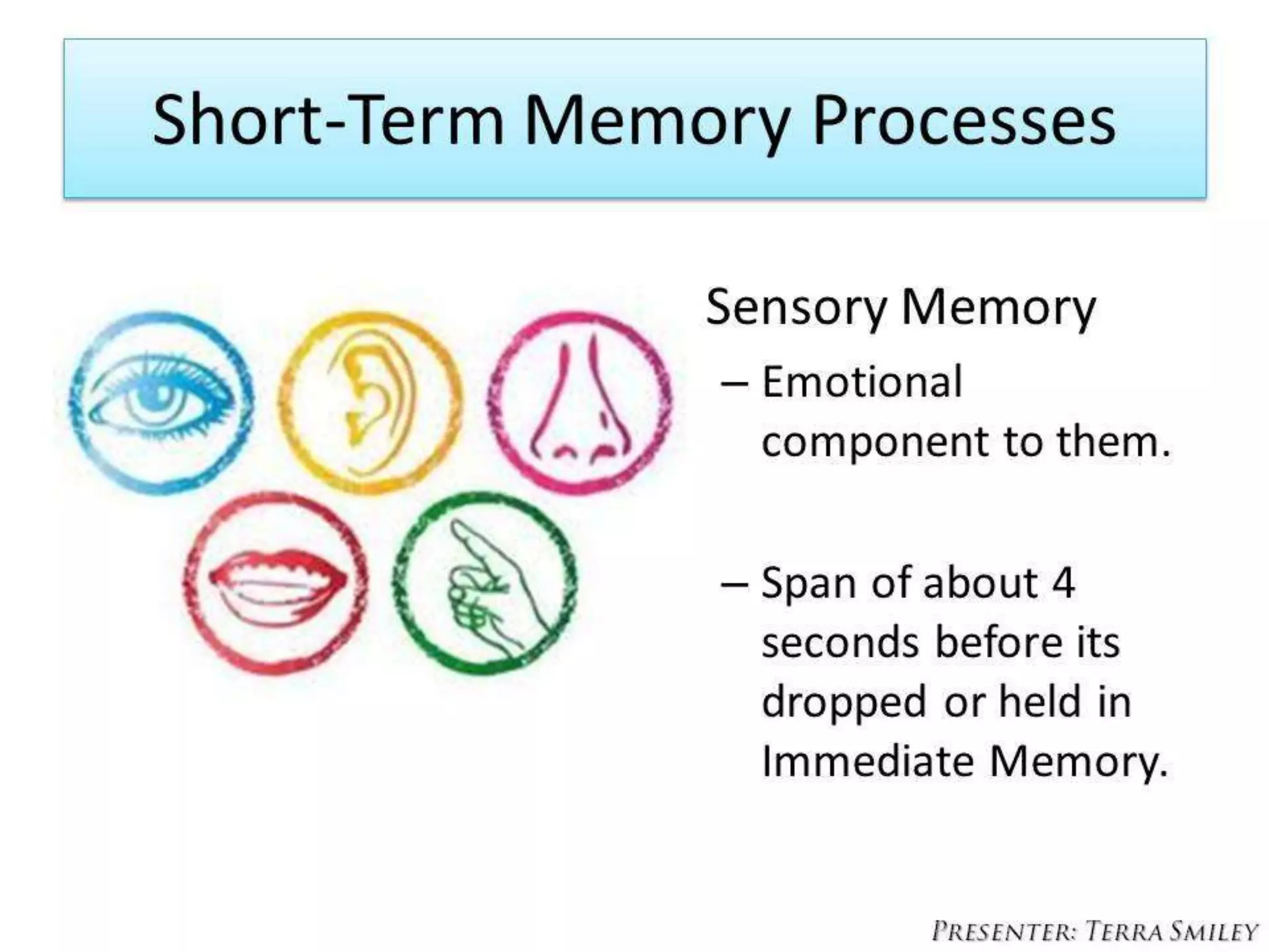Music mind maps memory