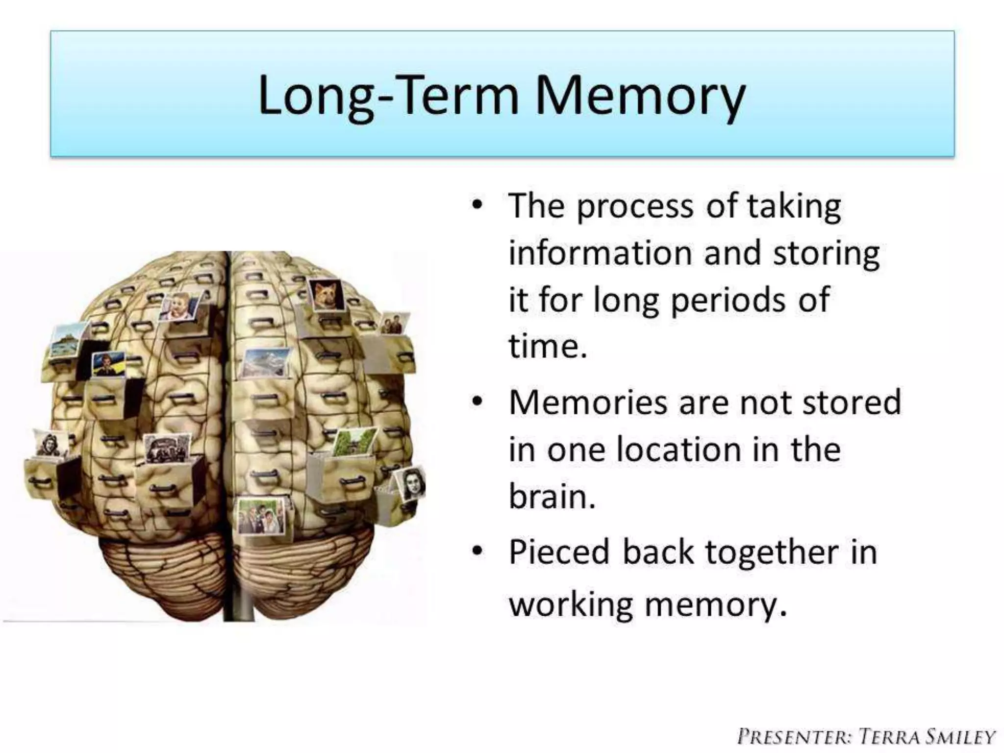 Music mind maps memory