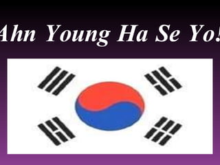 Ahn Young Ha Se Yo!
 