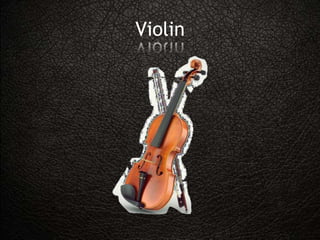 Violin
 