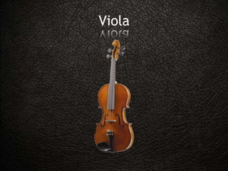 Viola
 