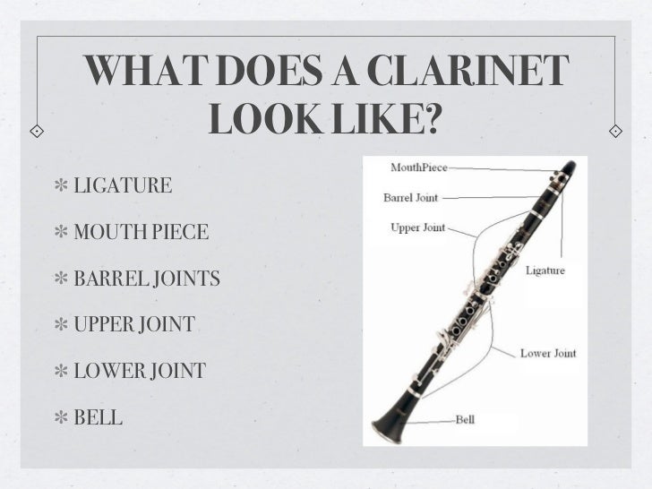 Music The Hisotry of