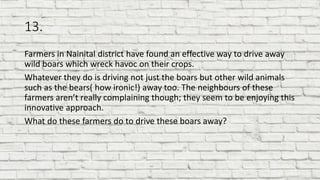 13.
Farmers in Nainital district have found an effective way to drive away
wild boars which wreck havoc on their crops.
Whatever they do is driving not just the boars but other wild animals
such as the bears( how ironic!) away too. The neighbours of these
farmers aren’t really complaining though; they seem to be enjoying this
innovative approach.
What do these farmers do to drive these boars away?
 
