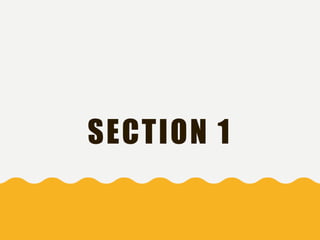 SECTION 1
 