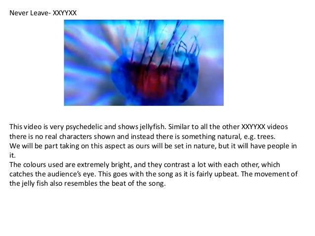 Music Videos By Xxyyxx slideshare