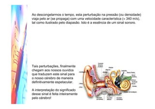 Ao descongelarmos o tempo, esta perturbação na pressão (ou densidade)
viaja pelo ar (se propaga) com uma velocidade característica (≈ 340 m/s),
tal como ilustrado pelo diapasão. Isto é a essência de um sinal sonoro.
Tais perturbações, finalmente
chegam aos nossos ouvidos
que traduzem este sinal para
o nosso cérebro de maneira
definitivamente espetacular.
A interpretação do significado
desse sinal é feita inteiramente
pelo cérebro!
(Clique na figura para ver a animação!)
 