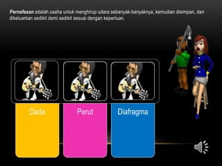 Pernafasan adalah usaha untuk menghirup udara sebanyak-banyaknya, kemudian disimpan, dan
dikeluarkan sedikit demi sedikit sesuai dengan keperluan.
Dada Perut Diafragma
 
