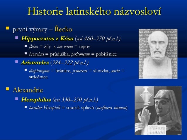 Vladimir musil 2nd degree connection2nd investor&trader at cryptocurrency
