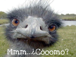 Mmm…¿Cóoomo?
 