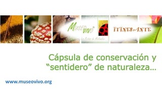 Cápsula de conservación y 
“sentidero” de naturaleza… 
www.museovivo.org 
 