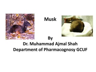 Musk
By
Dr. Muhammad Ajmal Shah
Department of Pharmacognosy GCUF
 