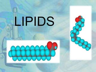 LIPIDS
 