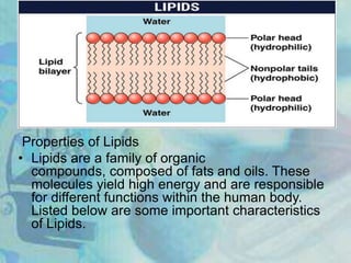 Properties of Lipids
• Lipids are a family of organic
compounds, composed of fats and oils. These
molecules yield high energy and are responsible
for different functions within the human body.
Listed below are some important characteristics
of Lipids.
 