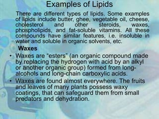 Examples of Lipids
There are different types of lipids. Some examples
of lipids include butter, ghee, vegetable oil, cheese,
cholesterol and other steroids, waxes,
phospholipids, and fat-soluble vitamins. All these
compounds have similar features, i.e. insoluble in
water and soluble in organic solvents, etc.
Waxes
• Waxes are “esters” (an organic compound made
by replacing the hydrogen with acid by an alkyl
or another organic group) formed from long-
alcohols and long-chain carboxylic acids.
• Waxes are found almost everywhere. The fruits
and leaves of many plants possess waxy
coatings, that can safeguard them from small
predators and dehydration.
 