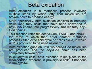 Beta oxidation
• Beta oxidation is a metabolic process involving
multiple steps by which fatty acid molecules are
broken down to produce energy.
• More specifically, beta oxidation consists in breaking
down long fatty acids that have been converted to
acyl-CoA chains into progressively smaller fatty acyl-
CoA chains.
• This reaction releases acetyl-CoA, FADH2 and NADH,
the three of which then enter another metabolic
process called citric acid cycle or Krebs cycle, in which
ATP is produced to be used as energy.
• Beta oxidation goes on until two acetyl-CoA molecules
are produced and the acyl-CoA chain has been
completely broken down.
• In eukaryotic cells, beta oxidation takes place in the
mitochondria, whereas in prokaryotic cells, it happens
in the cytosol.
 