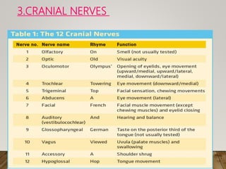 3.CRANIAL NERVES
 