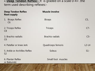 4. Deep Tendon Reflex:- lt is graded on a scale 0-4+ .the
term used describing reflexes:-
Deep Tendon Reflex Muscle involve
Root supply
1. Biceps Reflex Biceps C5,
C6
2. Triceps Reflex Triceps C7-
C8
3. Brachio radialis Brachio radials C5-
C6
4. Patellar or knee Jerk Quadriceps femoris L2-L4
5. Ankle or Archilles Reflex Soleus S1-
S2
6. Planter Reflex Small foot muscles
or Babunski
 