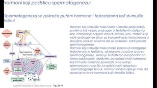 Hormoni koji podsticu spermatogenezu:
Spermatogeneza se pokreće putem hormona i testosterona koji stumuliše 
folikul.
Hormon koji stimuliše folikul dalje stimuliše proizvodnju
proteina koji vezuju androgen u Sertolijevim ćelijama
kao i formiranje barijere između testisa i krvi. Protein koji
veže androgen je bitan za koncentraciju testosterona u
dovoljno visokim nivoima da se pokrene i održi proces
spermatogeneze.
Hormon koji stimuliše folikul može pokrenuti razlaganje
testosterona u testisima, ali jednom otpočne proces
spermatogeneze, samo je testosteron neophodan za
njeno održavanje. Međutim, povećani nivoi hormona
koji stimuliše folikul će povećati proizvodnju
spermatozoa tako što će sprječavati apoptozu
 spermatogonija tipa A. Hormon inhibin djeluje tako da
povećava nivoe hormona koji stimuliše folikul.
 