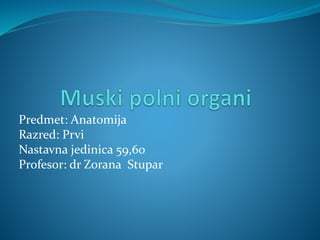 Predmet: Anatomija
Razred: Prvi
Nastavna jedinica 59,60
Profesor: dr Zorana Stupar
 