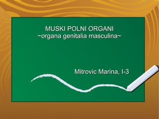 MUSKI POLNI ORGANIMUSKI POLNI ORGANI
~organa genitalia masculina~~organa genitalia masculina~
Mitrovic Marina, I-3Mitrovic Marina, I-3
 