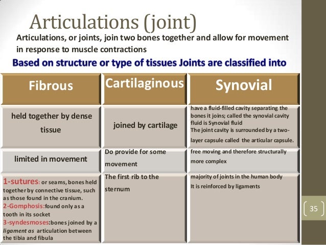 Muskloskeletal icd10 Muskloskeletal icd10