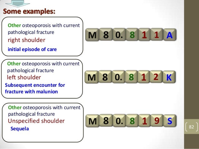 Age Calculator visual data 6
