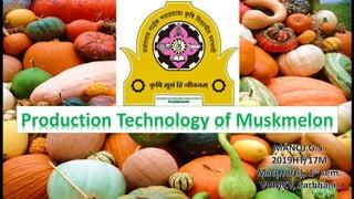 .Production Technology of Muskmelon
 