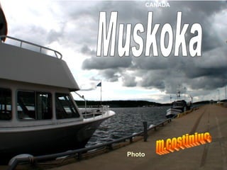 Muskoka CANADA m.costiniuc Photo   