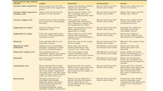 muskular system anatomy.pptx