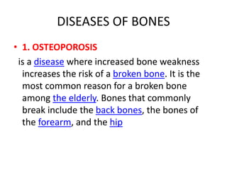 DISEASES OF BONES
• 1. OSTEOPOROSIS
is a disease where increased bone weakness
increases the risk of a broken bone. It is the
most common reason for a broken bone
among the elderly. Bones that commonly
break include the back bones, the bones of
the forearm, and the hip
 