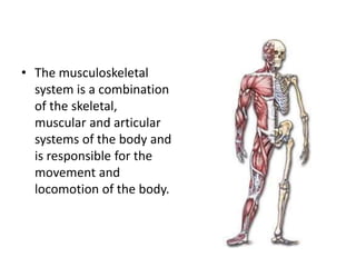 • The musculoskeletal
system is a combination
of the skeletal,
muscular and articular
systems of the body and
is responsible for the
movement and
locomotion of the body.
 