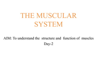 THE MUSCULAR
SYSTEM
AIM: To understand the structure and function of muscles
Day-2
 