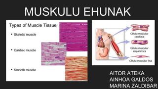 MUSKULU EHUNAK
AITOR ATEKA
AINHOA GALDOS
MARINA ZALDIBAR
 