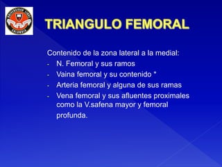 Contenido de la zona lateral a la medial:
- N. Femoral y sus ramos
- Vaina femoral y su contenido *
- Arteria femoral y alguna de sus ramas
- Vena femoral y sus afluentes proximales
como la V.safena mayor y femoral
profunda.
 