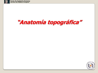 “Curso de Anatomía Humana:
 Carrera de Médico Cirujano”




         “Anatomía topográfica”




                                  5
 