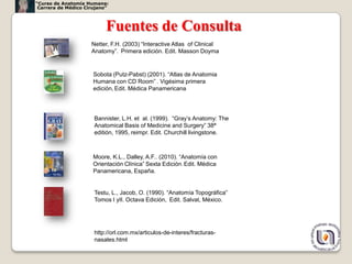 “Curso de Anatomía Humana:
 Carrera de Médico Cirujano”



                           Fuentes de Consulta
                     Netter, F.H. (2003) “Interactive Atlas of Clinical
                     Anatomy”. Primera edición. Edit. Masson Doyma


                      Sobota (Putz-Pabst) (2001). “Atlas de Anatomia
                      Humana con CD Room” . Vigésima primera
                      edición, Edit. Médica Panamericana




                      Bannister, L.H. et al. (1999). “Gray’s Anatomy: The
                      Anatomical Basis of Medicine and Surgery” 38ª
                      editión, 1995, reimpr. Edit. Churchill livingstone.



                      Moore, K.L., Dalley, A.F.. (2010). “Anatomía con
                      Orientación Clínica” Sexta Edición. Edit. Médica
                      Panamericana, España.


                      Testu, L., Jacob, O. (1990). “Anatomía Topográfica”
                      Tomos I yII. Octava Edición, Edit. Salvat, México.




                      http://orl.com.mx/articulos-de-interes/fracturas-
                      nasales.html
                                                                            56
 