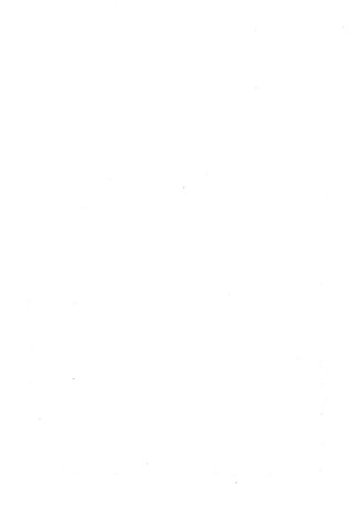 Musnad e bazzar vol 10