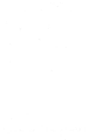 Musnad e bazzar vol 10