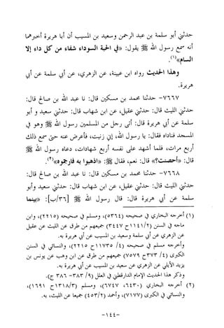 Musnad e bazzar vol 14