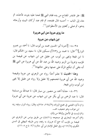 Musnad e bazzar vol 14