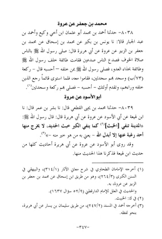 Musnad e bazzar vol 14