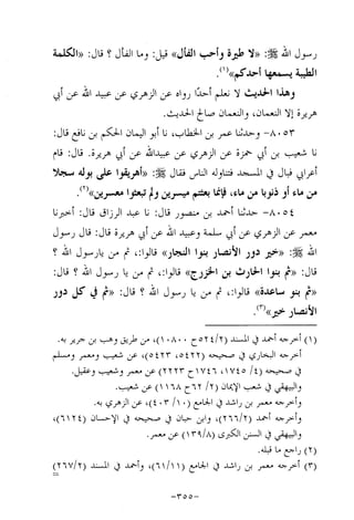 Musnad e bazzar vol 14