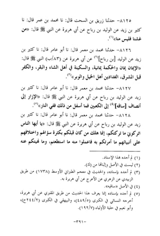 Musnad e bazzar vol 14