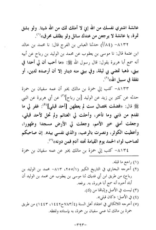 Musnad e bazzar vol 14