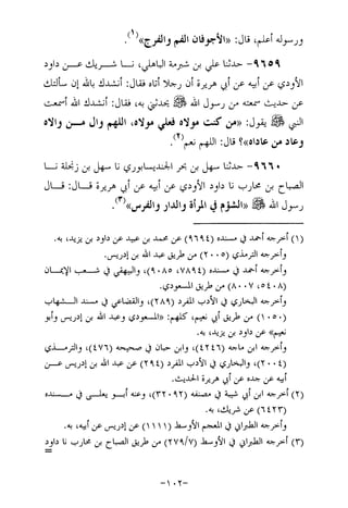 Musnad e bazzar vol 17